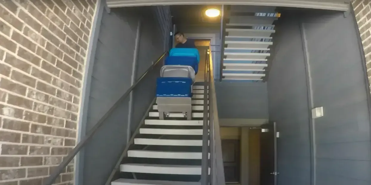 Professional movers carrying boxes